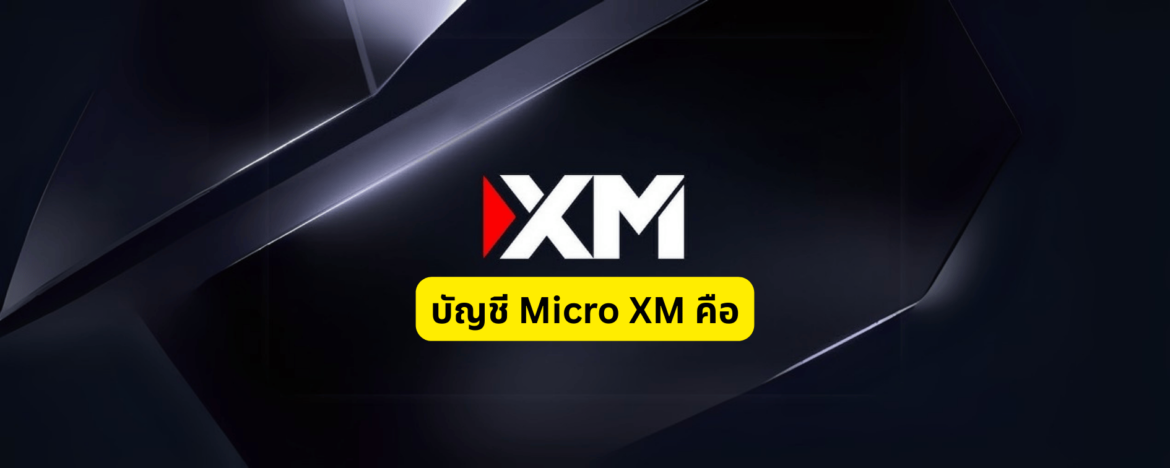 บัญชี Micro XM คือ